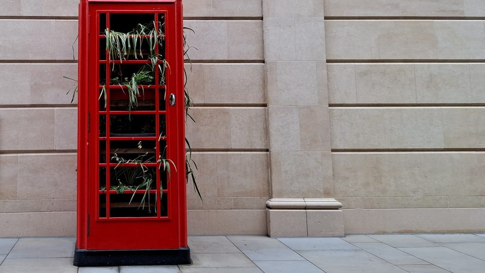 A red telephone box filled with green plants against a pale stone wall in Bath