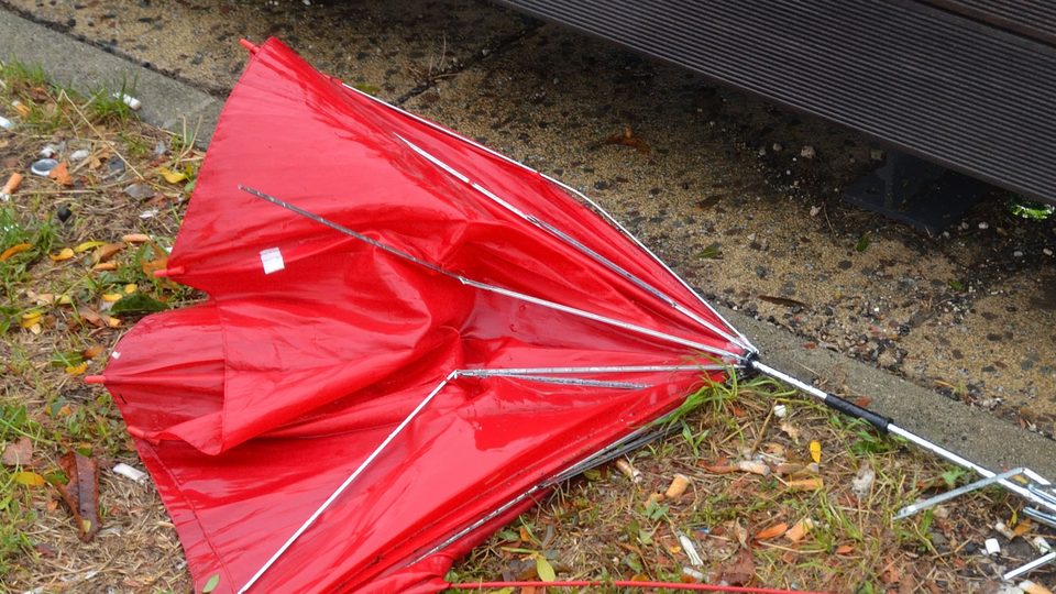 A bright red umbrella blown inside out and broken, its bent spokes splayed, lying on wet grass beside a pavement
