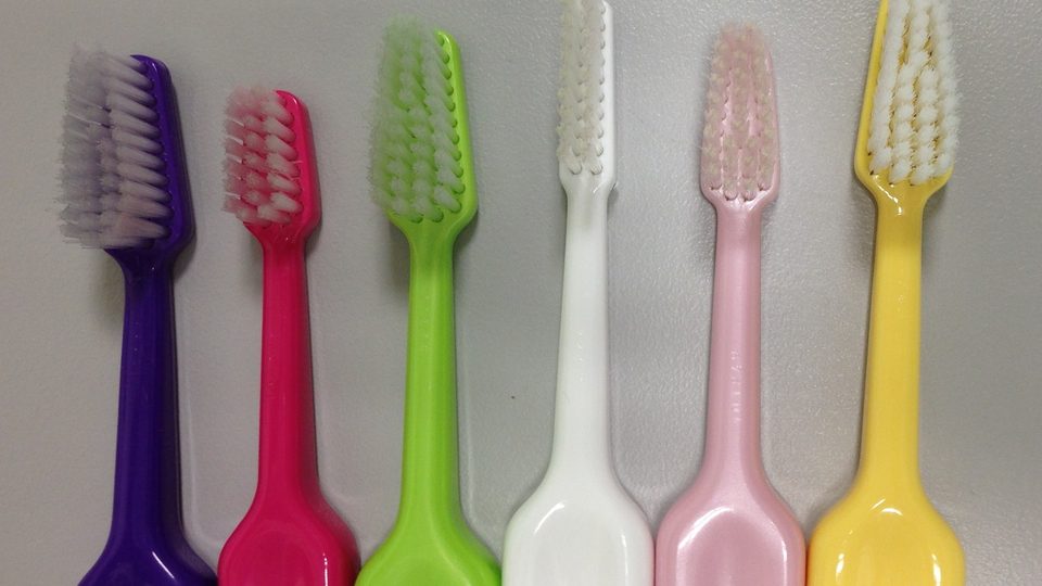 Six toothbrushes standing in a row with purple, pink, green, white, pale pink and yellow handles