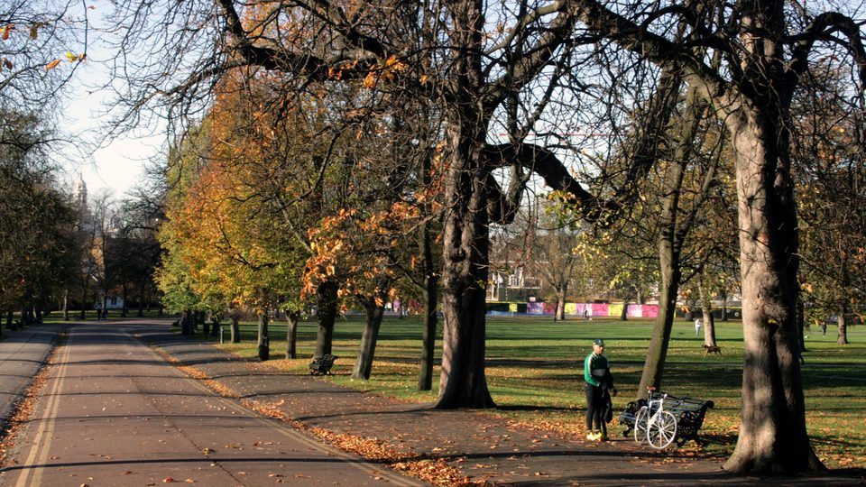 A tree lined avenue in Greenwich Park on an autumn afternoon, with a cyclist resting on a bench
